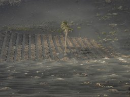 La_Palma_Lanzarote_2003-2004-027